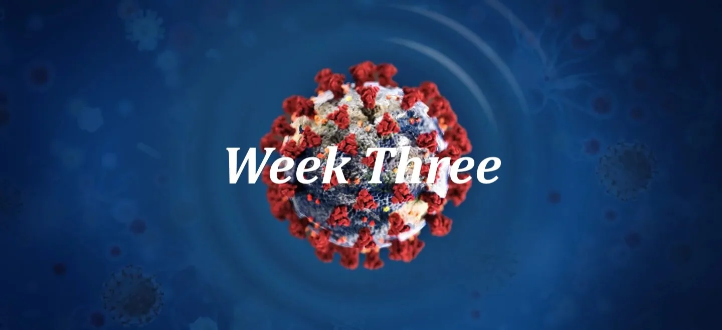 COVID-19 Week Three Update