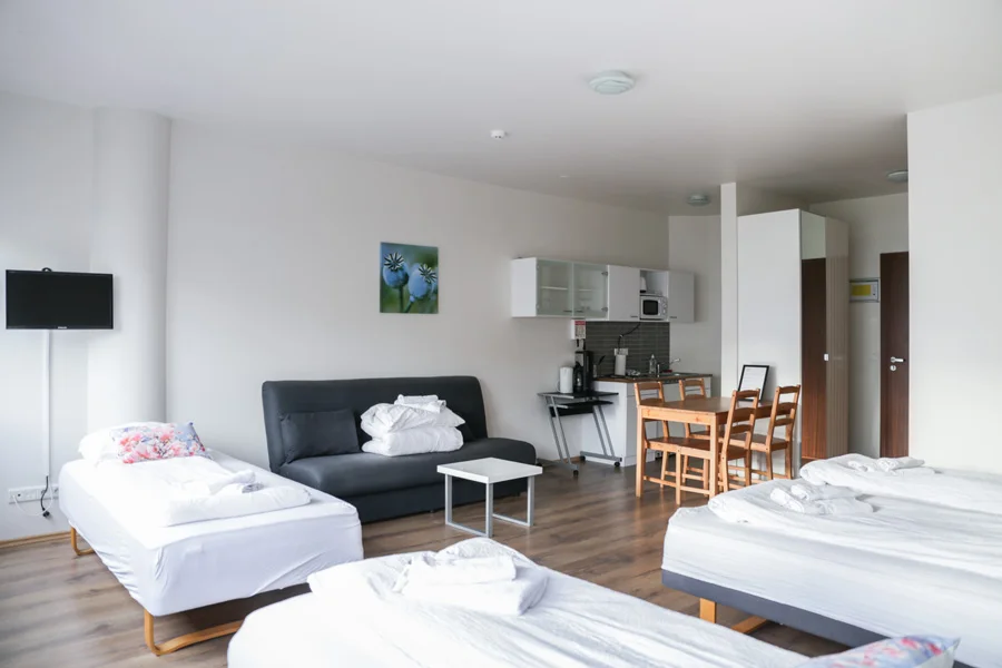 Studio 3 Adult — Iceland Comfort Apartments