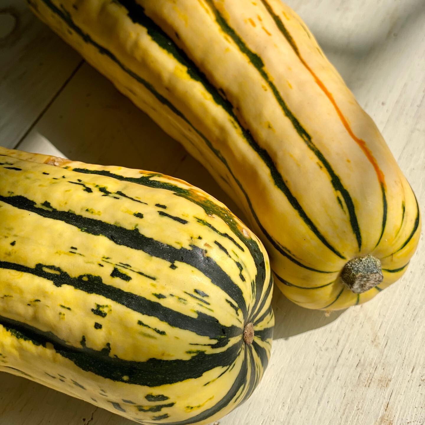 I absolutely love Delicata squash!  My latest column for @northernhglmagazine features a sauté of Delicata from @farminitllc with a bit of bacon from @asgaardfarm.  Be sure to check it out online or pickup a copy at a store near you. #wintersquash #