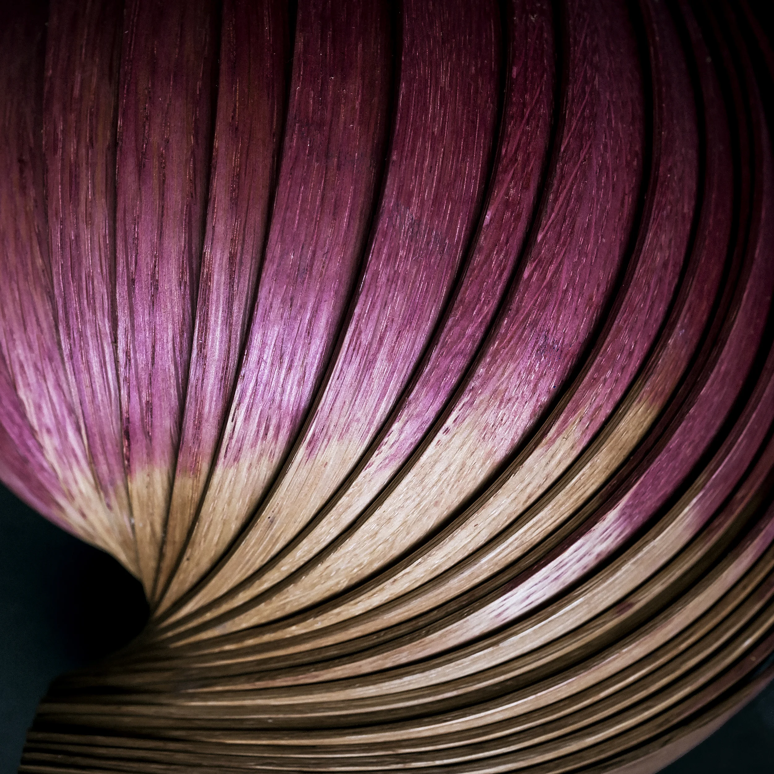 _DSF4652_blueberrydip.jpg