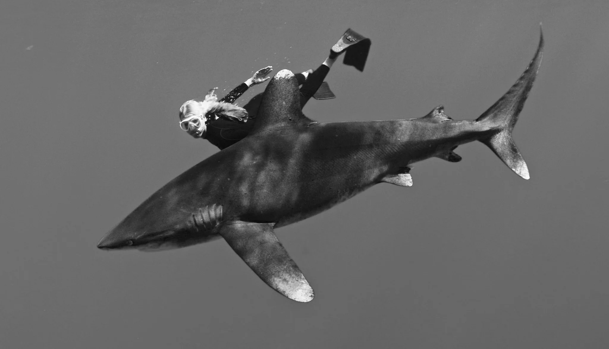 Photo: Frazier Nivens