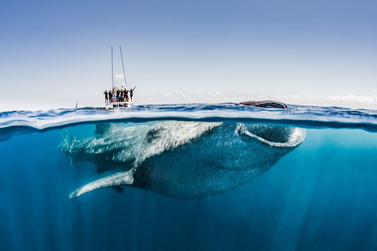 Photo: Shawn Heinrichs