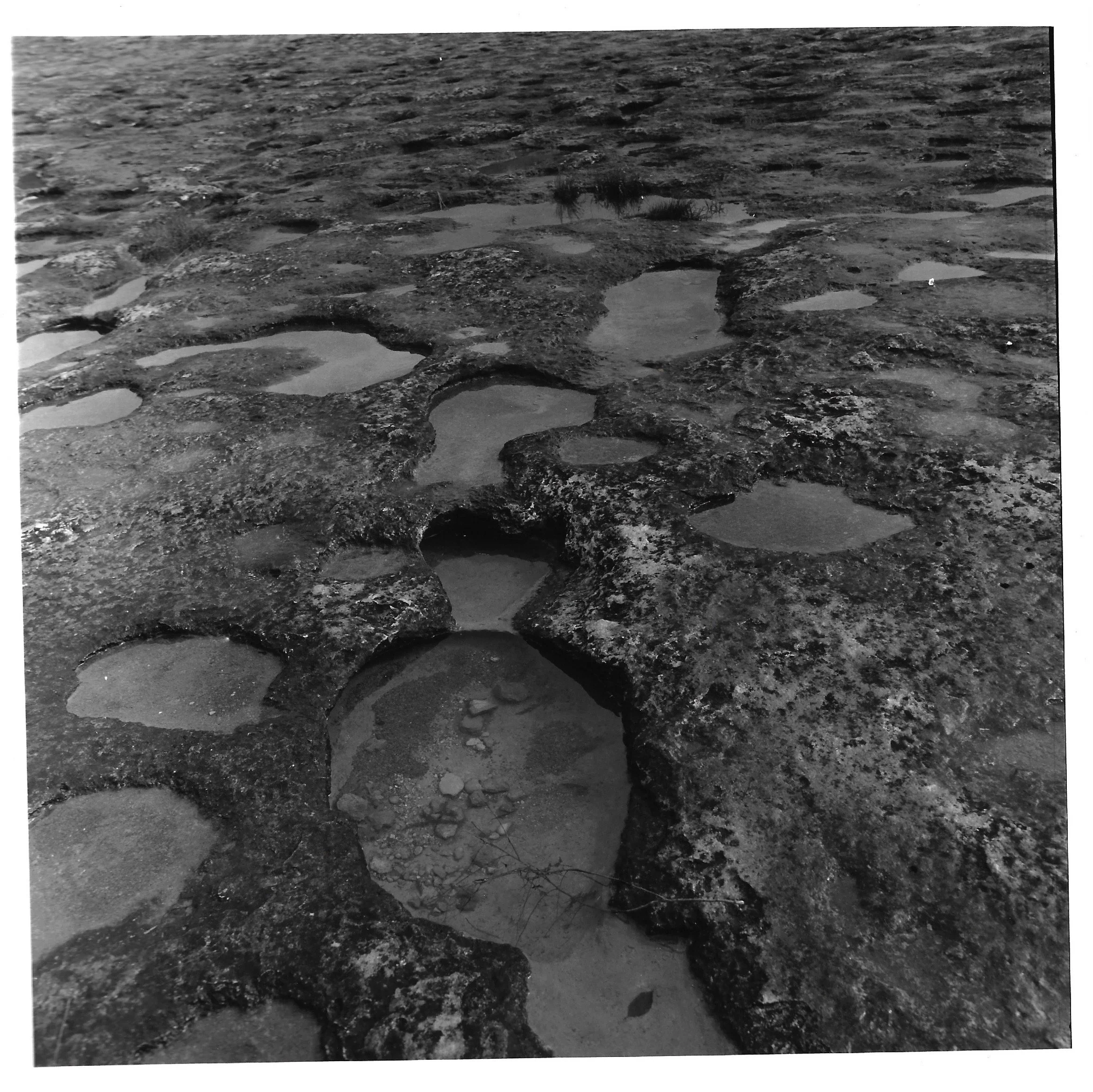 Scan 12.jpeg