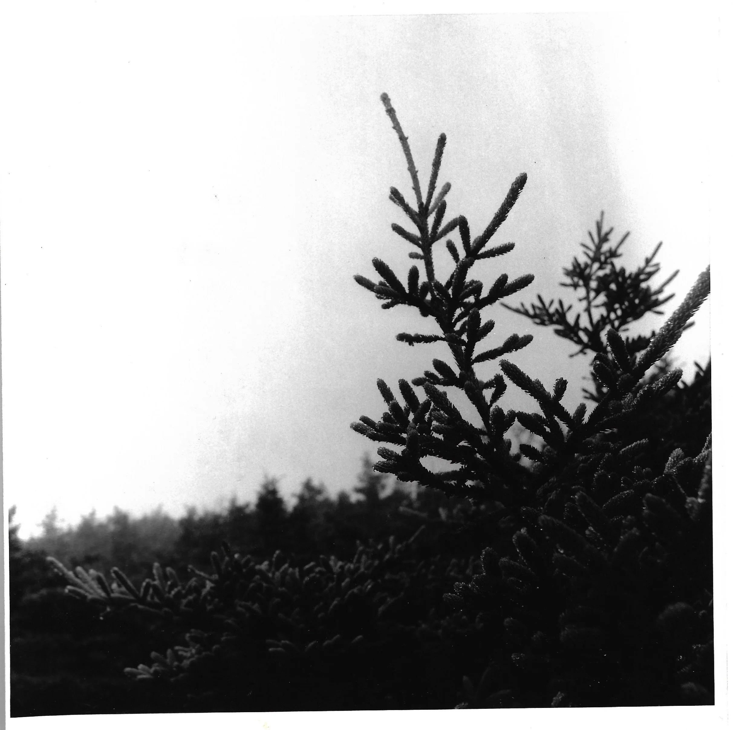 Scan 18.jpeg
