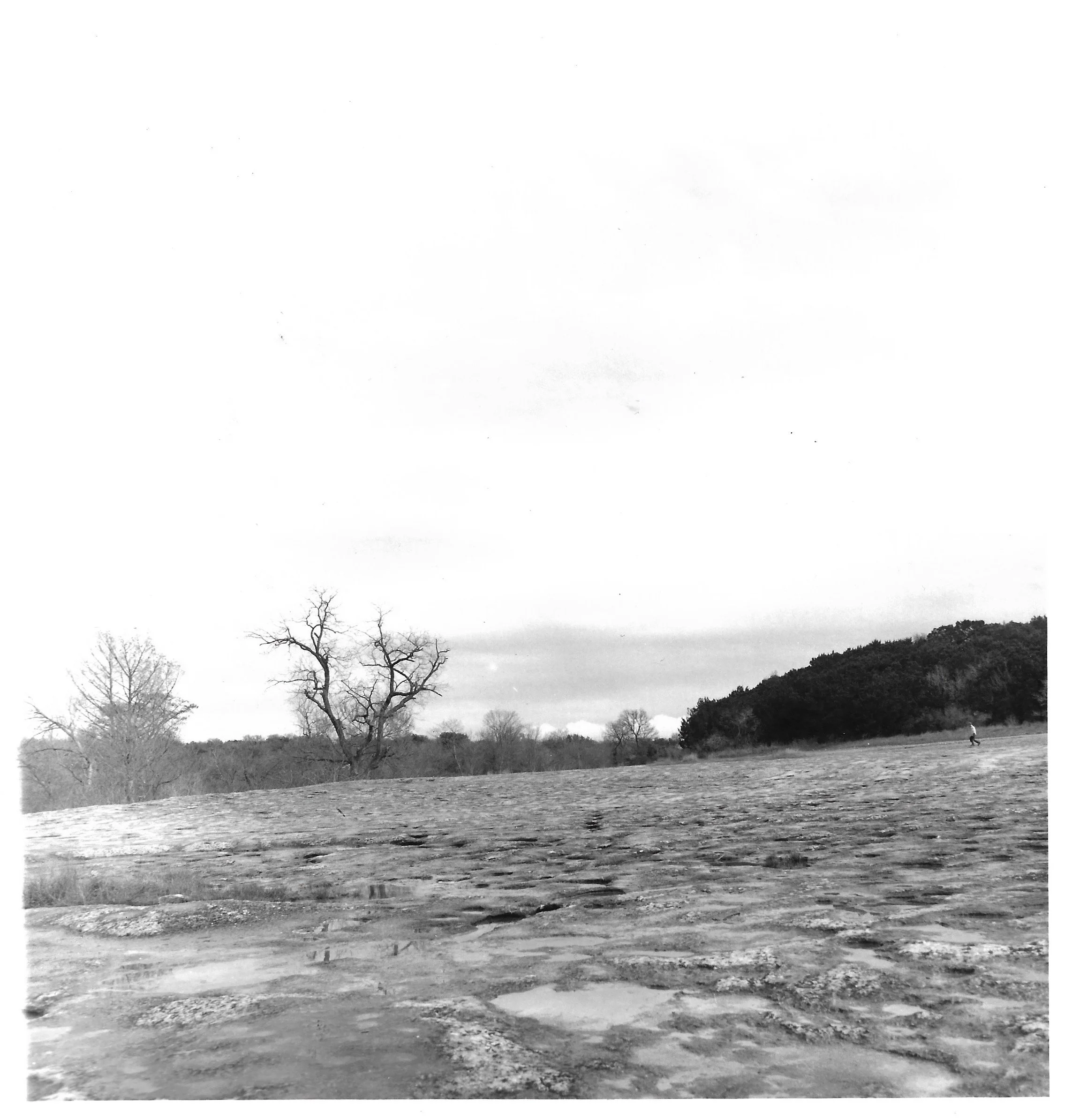Scan 6.jpeg
