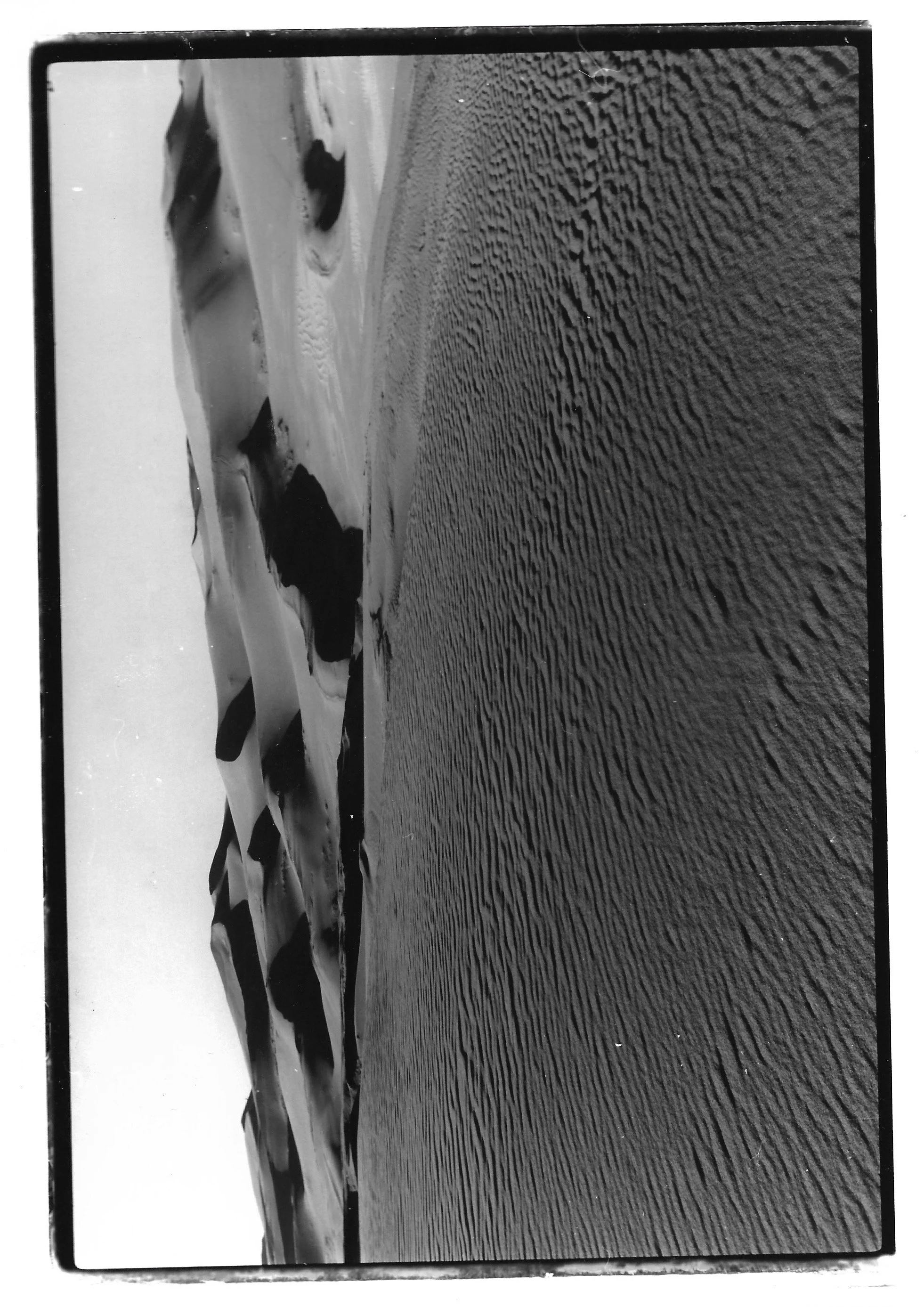 Scan 5.jpeg