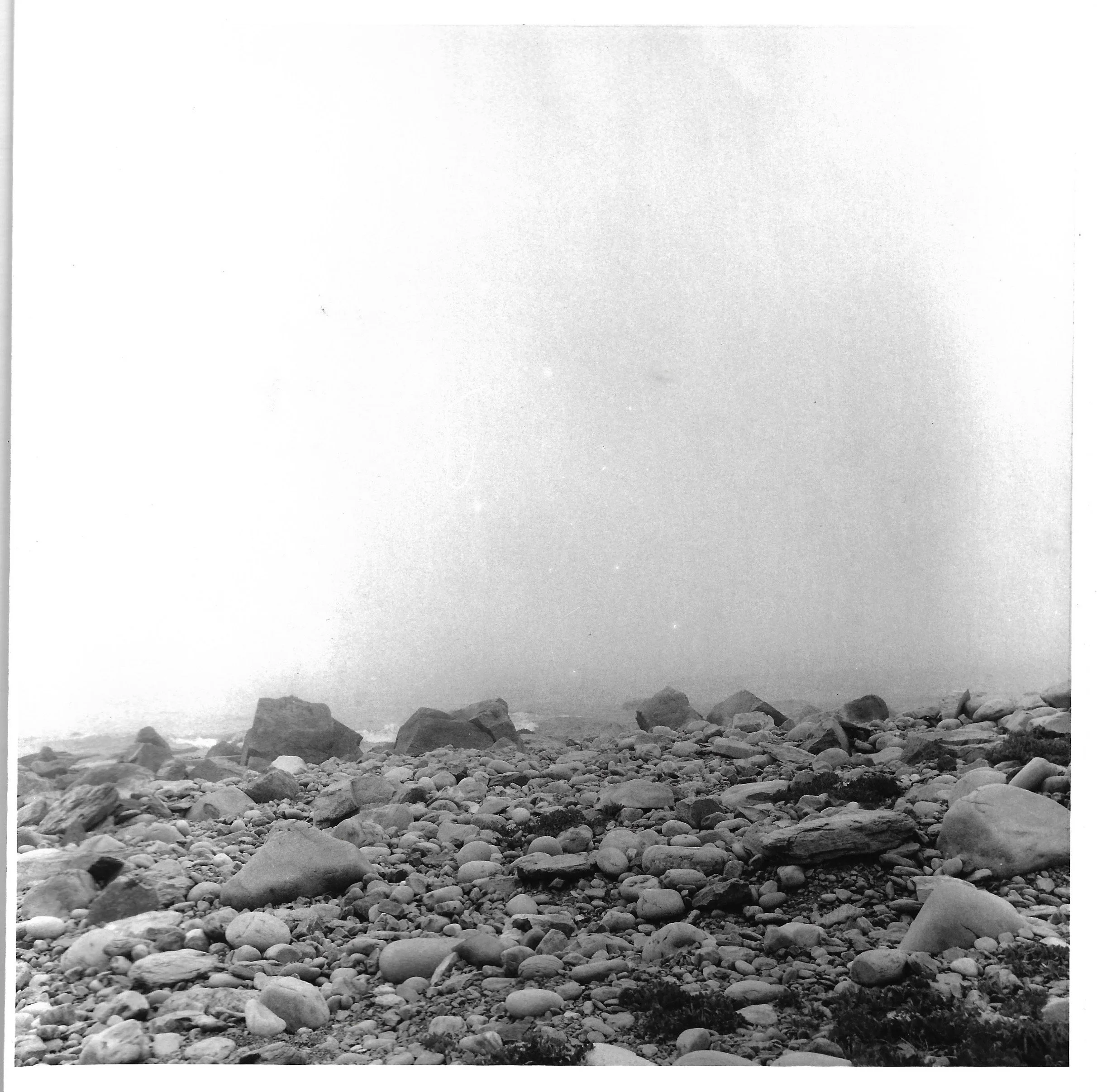 Scan 16.jpeg