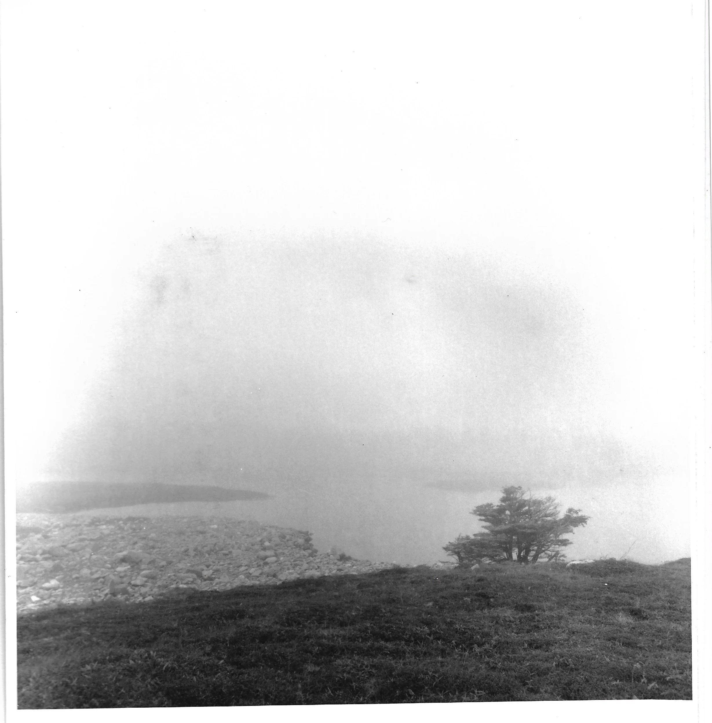 Scan 31.jpeg