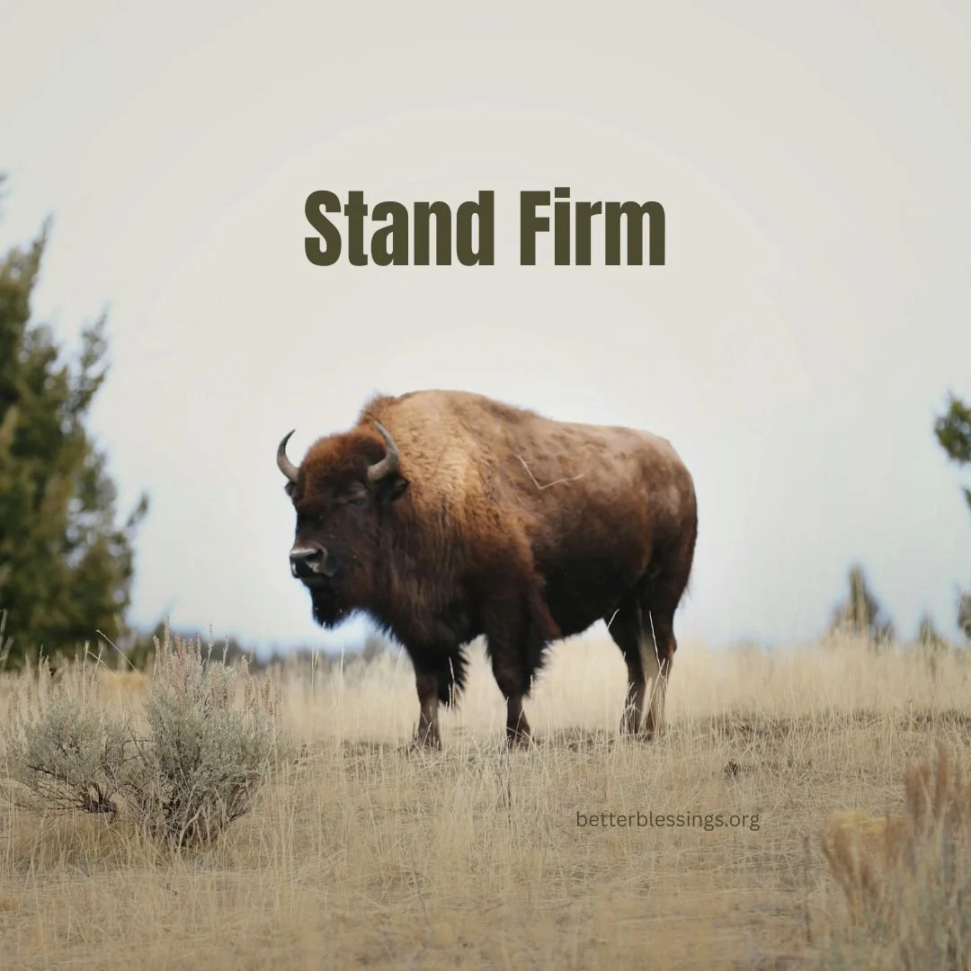 Stand Firm