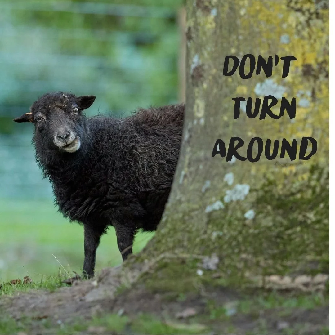 Do Not Turn Around