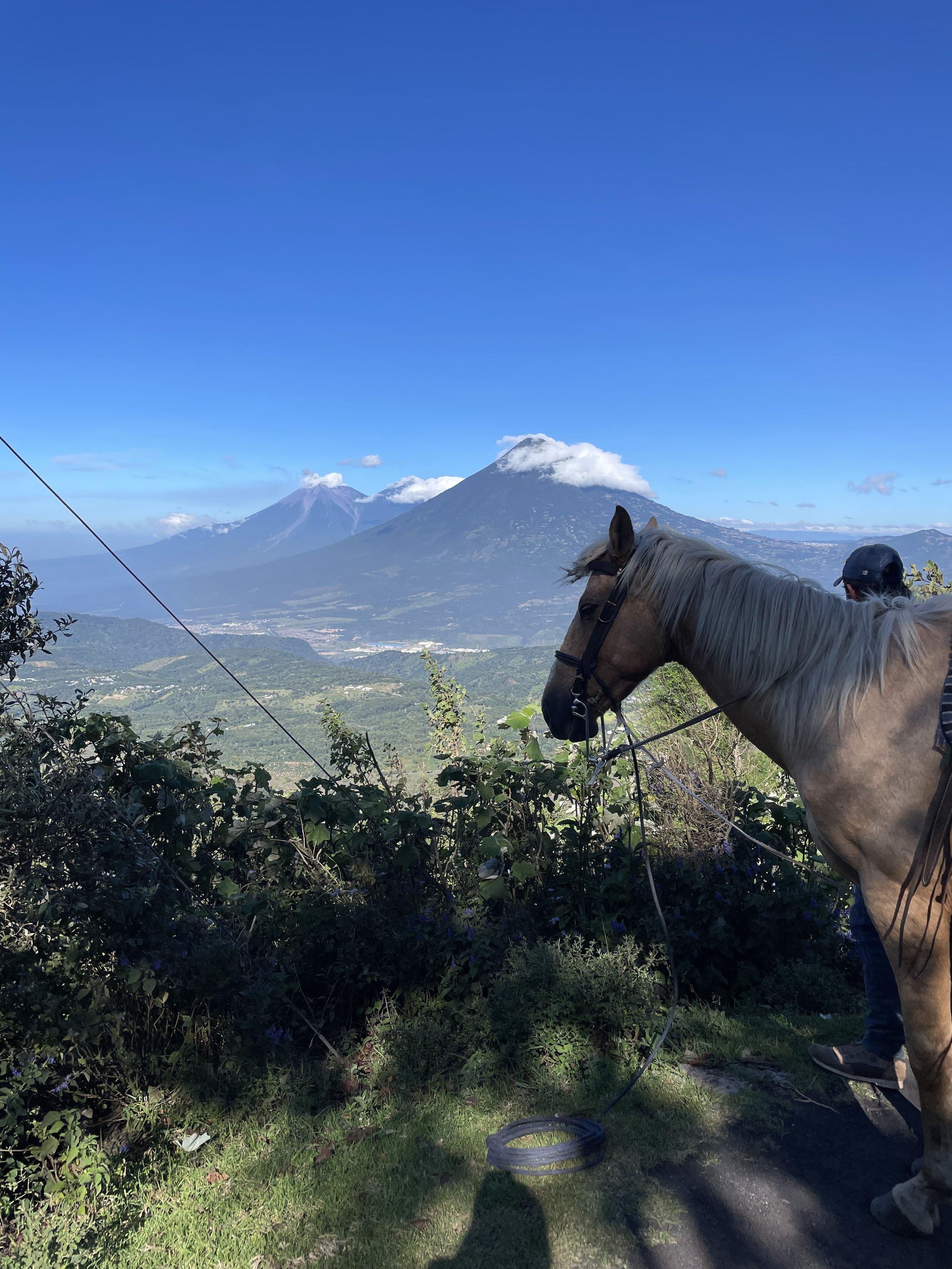IMG_0896.jpeg