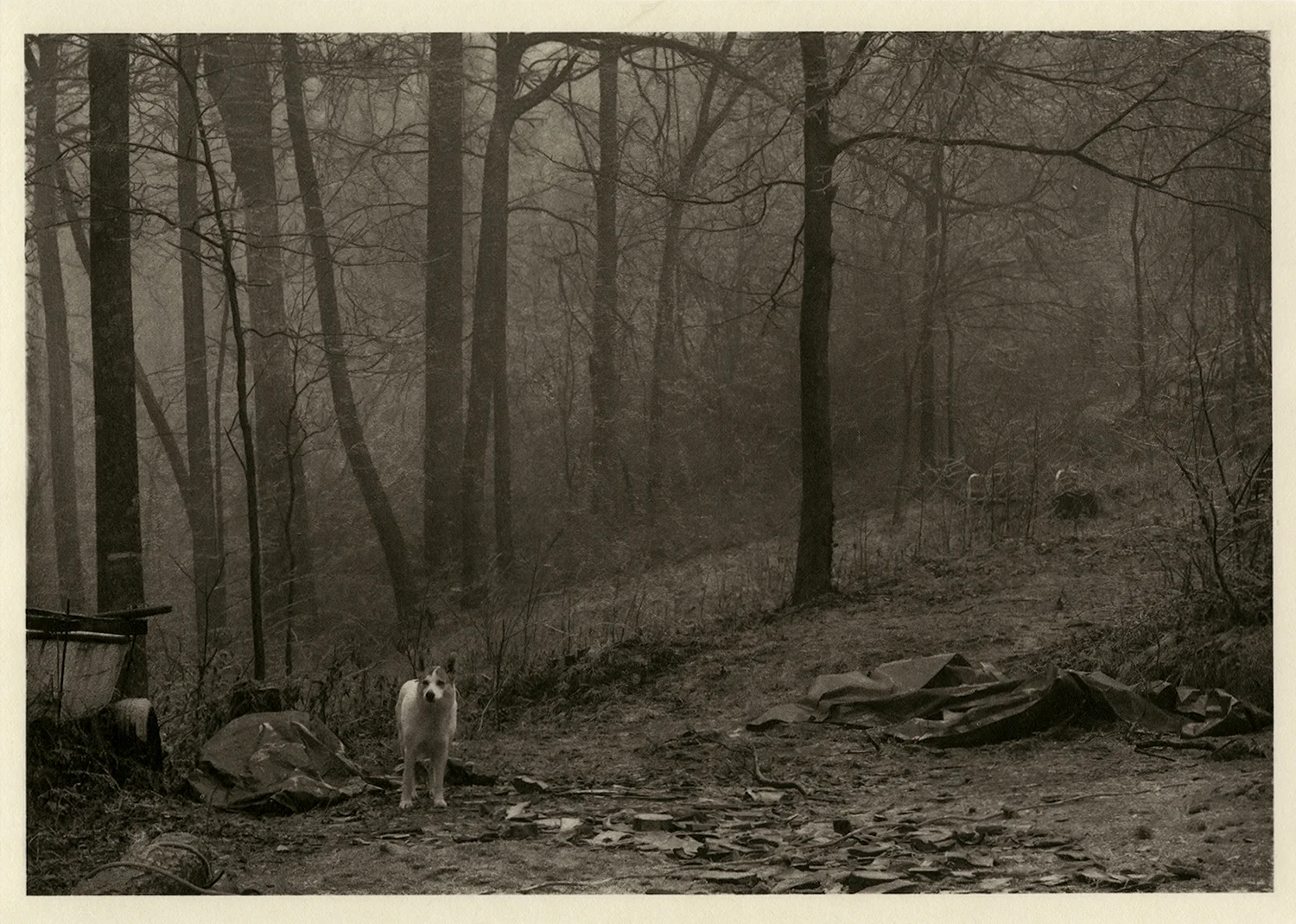 Beautiful Appalachia