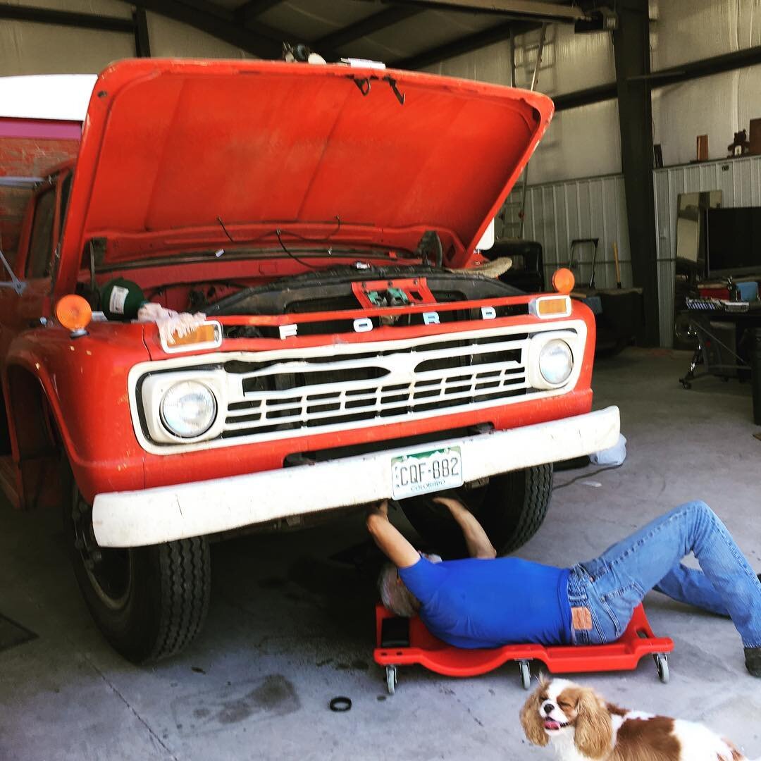One of the realities of farm life is that equipment (especially older equipment) breaks down a LOT. Example: We replaced the carburetor on this truck only to discover it still couldn't be safely driven because it needed a new radiator hose (thanks To