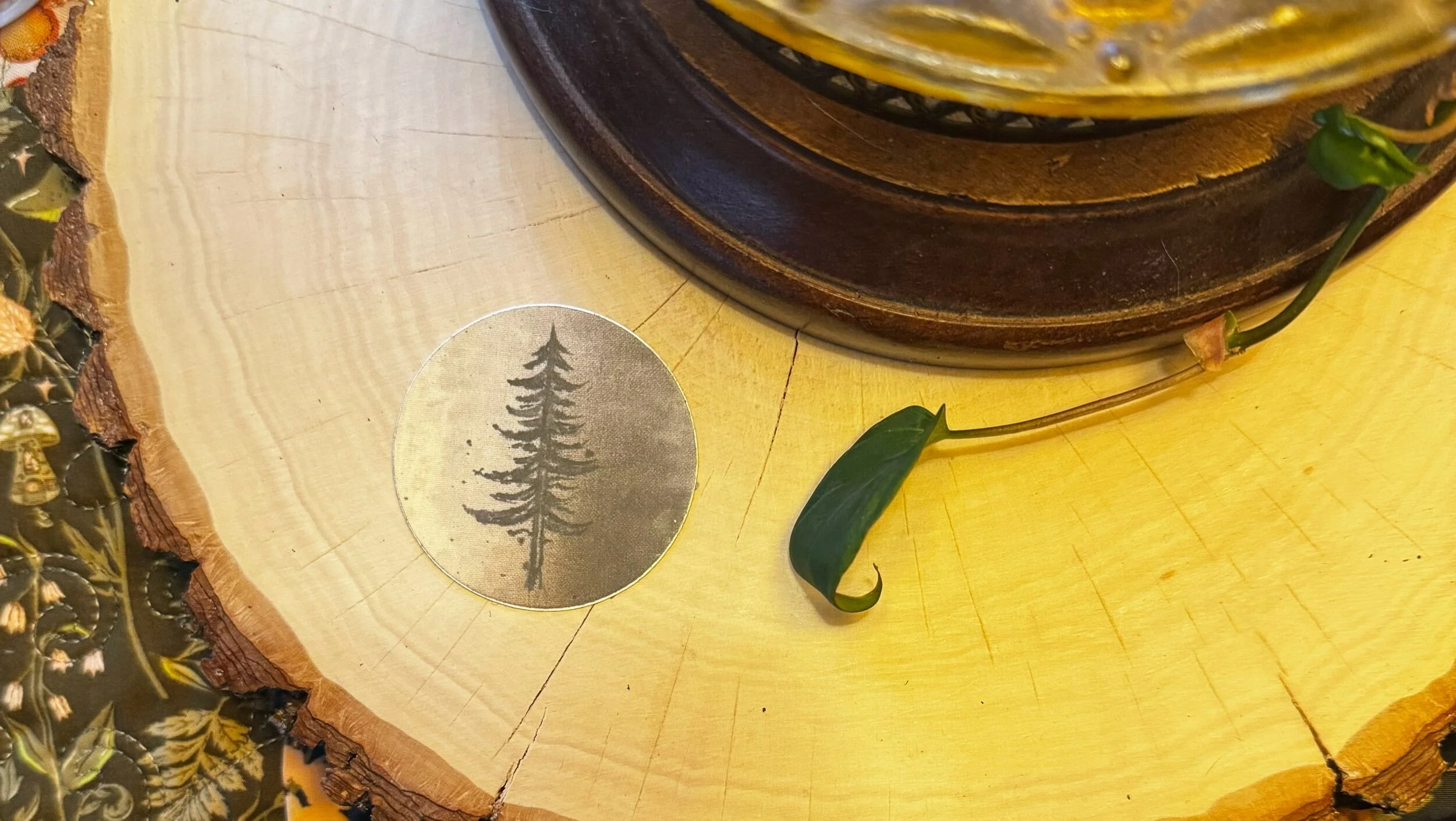 E6BE822D-0AA4-4070-A58B-58AE242D19E1