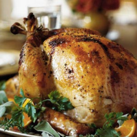 thx turkey.png