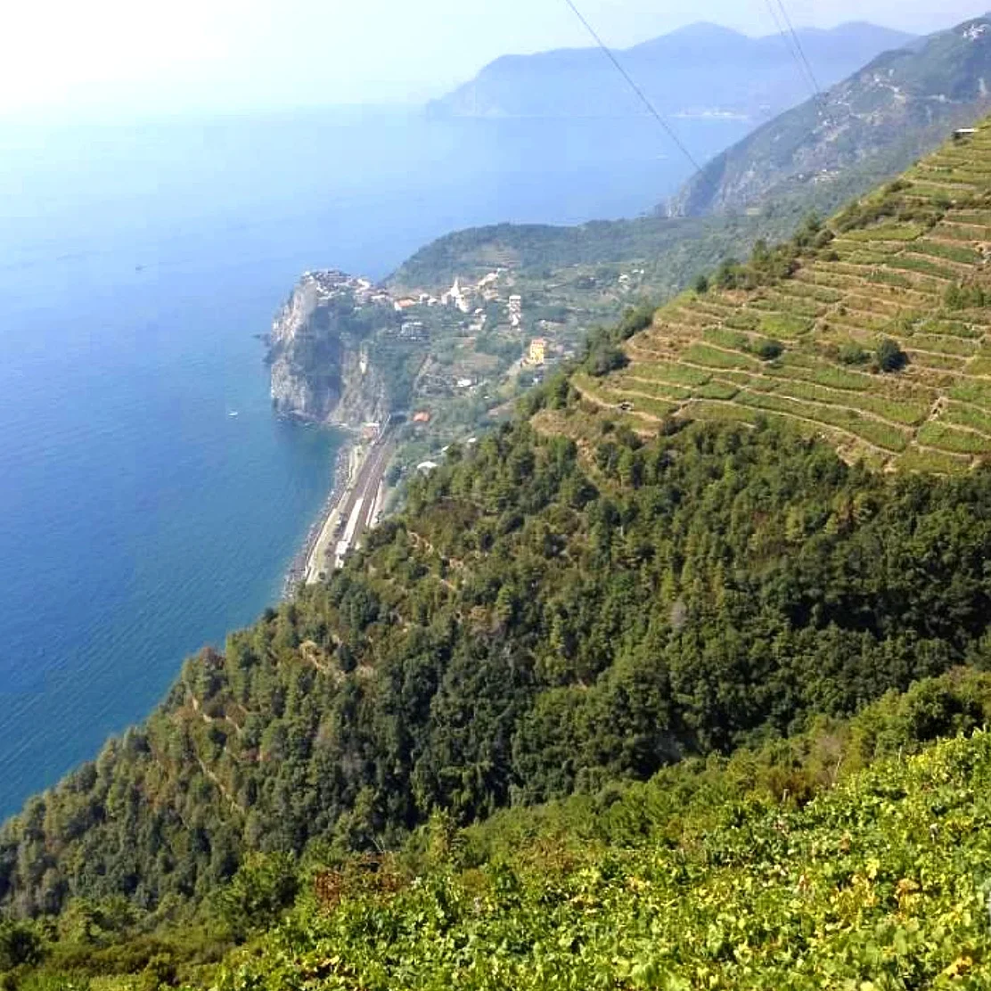 cinque+terre+cliff.jpg