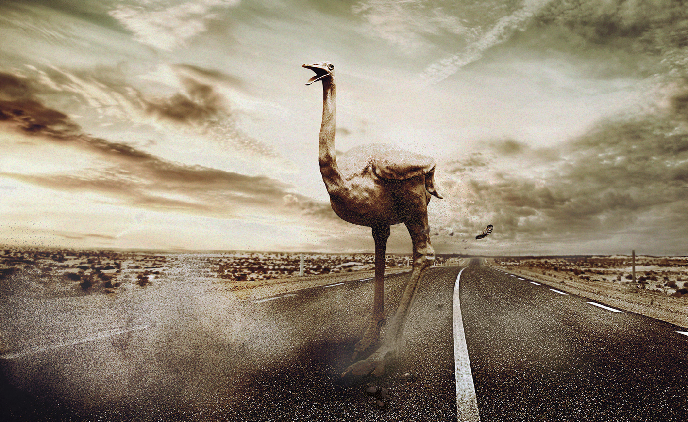 ostrich