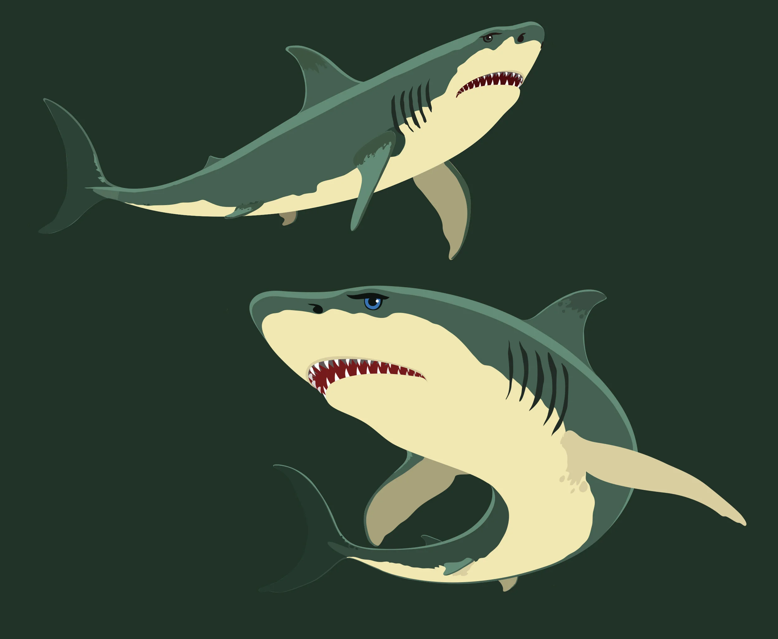 sharks