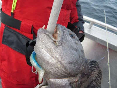 Let it rain, let it rain, let it rain