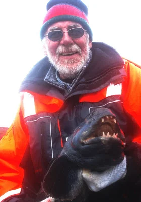 Dejlig dag i Havøysund!