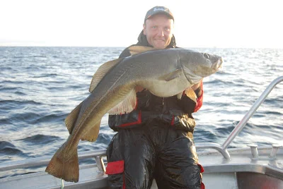 Torsk og blæse vejr..