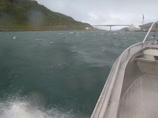 Guiden takker af med 4m bølger