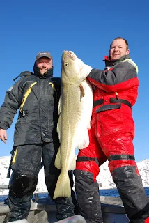 Torsk på 29,6 kg!