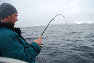Fiskeriet og kuling..