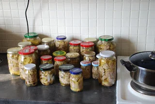 Udnyttelse af fisken..