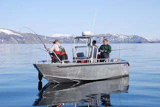 Vind stille og medvind..