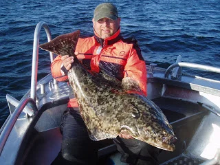 Mange flyndere i dag.