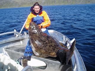 Flynder på 148 cm.