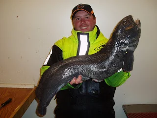 Sidste fiskeri for gæsterne.Kat på 5,3 kg.