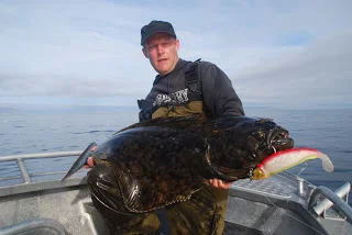 Mange flotte flyndere og meget mere..