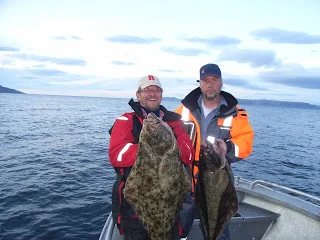 Flynderreder og giagantflynder fra Havøysund!