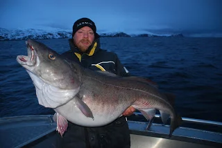 30,25kg skrei..