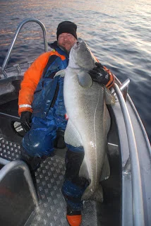 28,5kg til Henning Nygård..