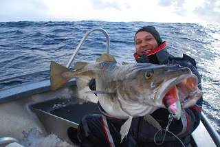 101 målere til Ballerup Fiskemagasin - 30,75kg på toppen.