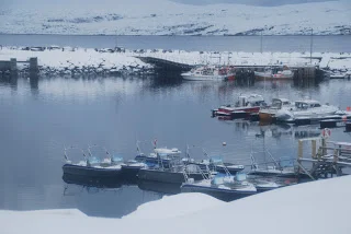 Artsfiskeri på Breivikfjorden.