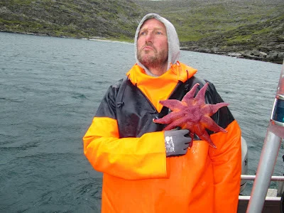 Kors og bånd og stjerner på....