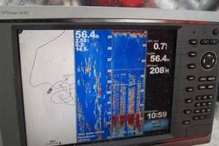 Dårligt vejr, men masser af fisk.