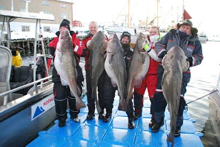 5 over 30kg til Sport Dress holdet