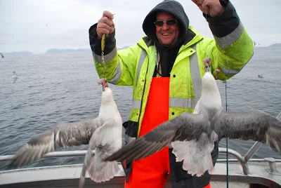 Kanonvejr og blandet fiskeri den sidste uge