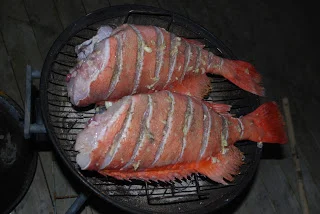 Store smil og mange fisk..