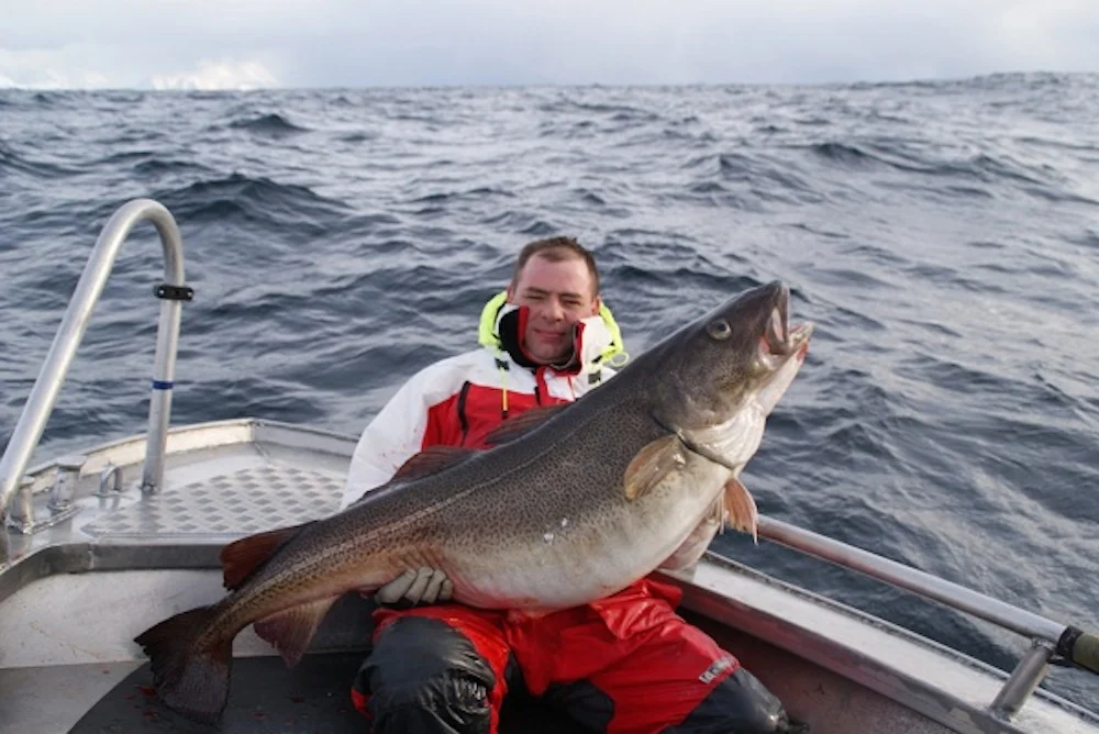1.Per-335-kg.jpg