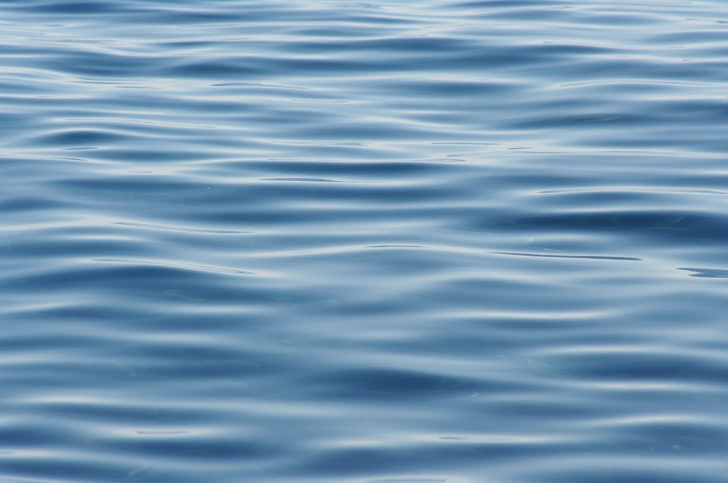 water.jpg