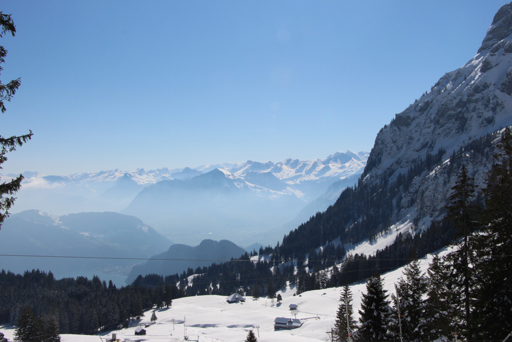 vonderlinde_L_project09.jpg