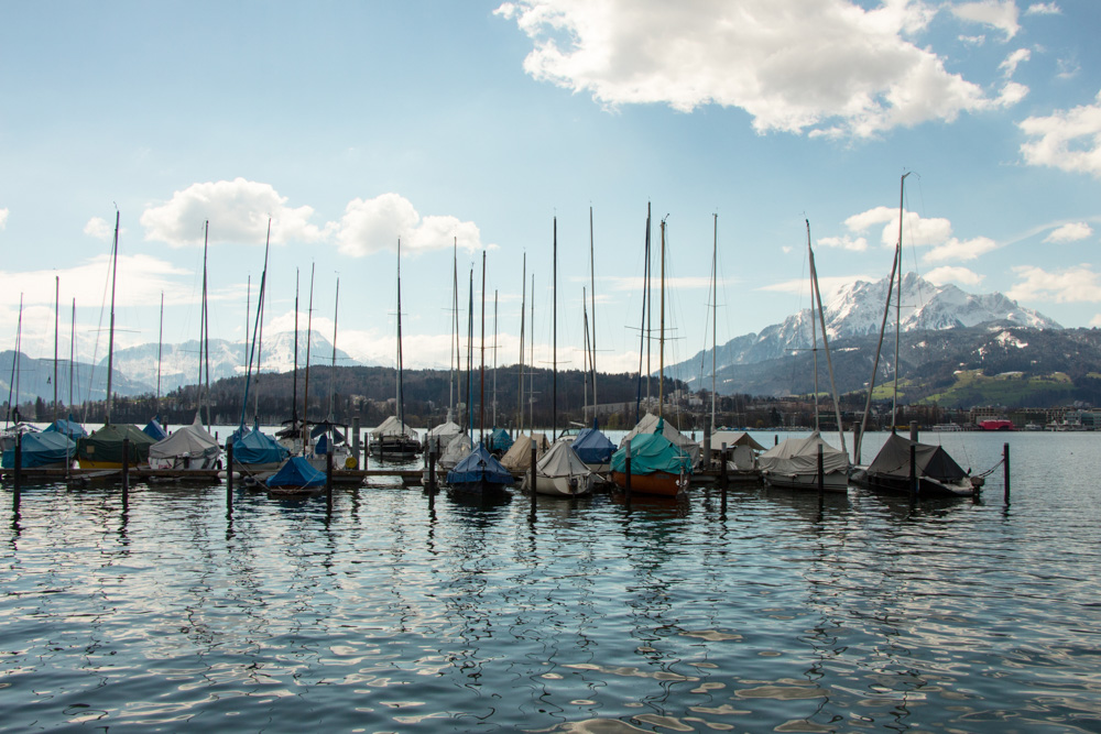 vonderlinde_L_project04.jpg