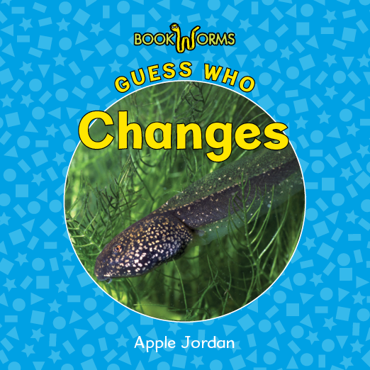 Guess Who . . . more