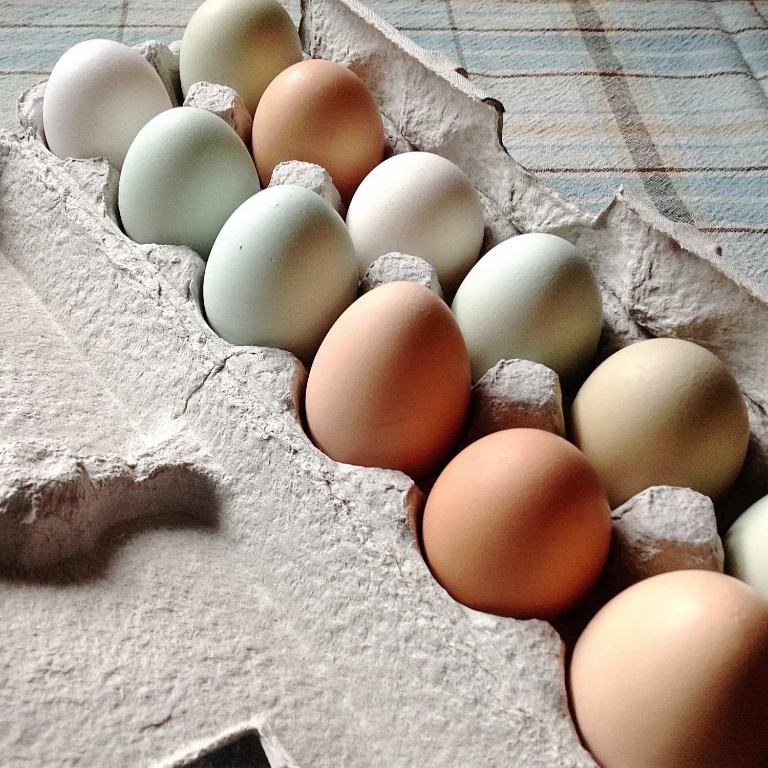 12 steps to heavenly hard boiled eggs